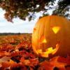 Autumncolours